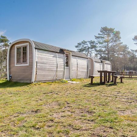 Naturcamping Lueneburger Heide - Chalets & Tiny Haeuser Зольтау Екстер'єр фото