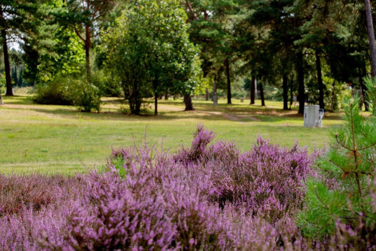 Naturcamping Lueneburger Heide - Chalets & Tiny Haeuser Зольтау Екстер'єр фото